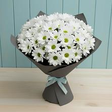 Букет цветов из:  Хризантемы в Субханкулово